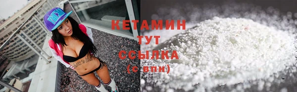 шишки Кодинск