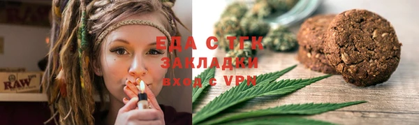 шишки Кодинск