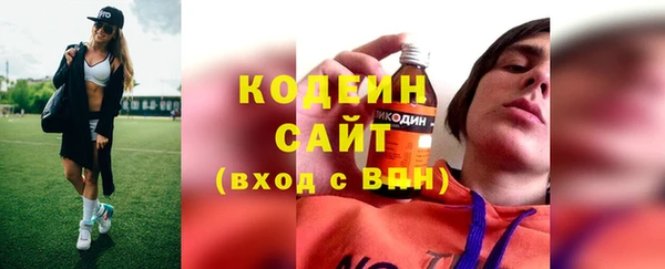 шишки Кодинск