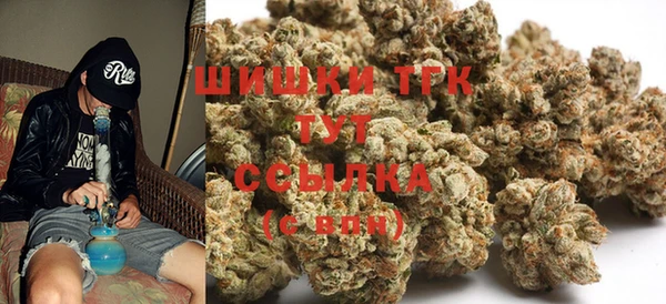 СК Коряжма