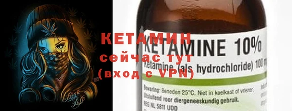 шишки Кодинск