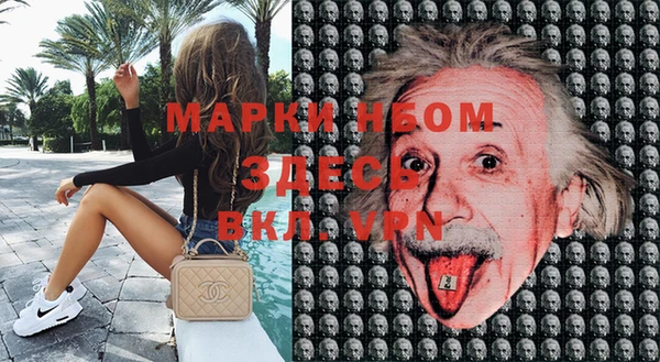 шишки Козельск