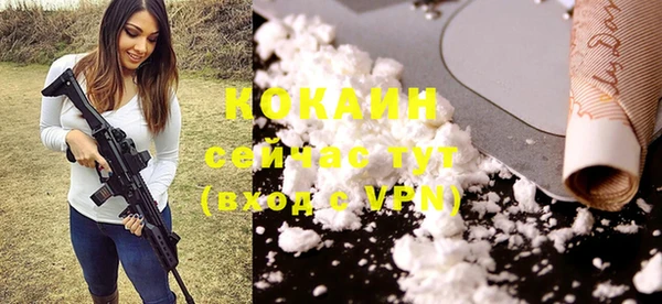 шишки Кодинск