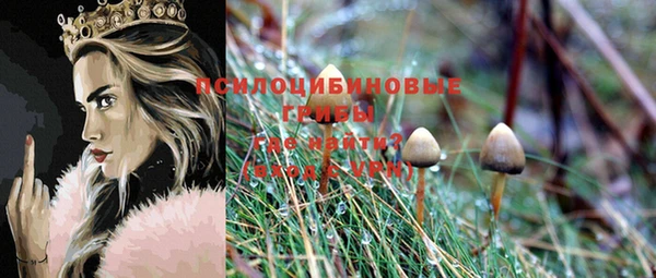 альфа пвп Киреевск