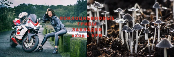 шишки Козельск