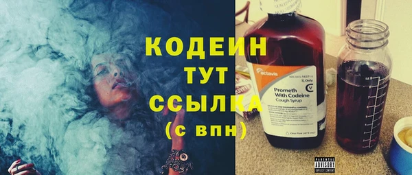 шишки Кодинск