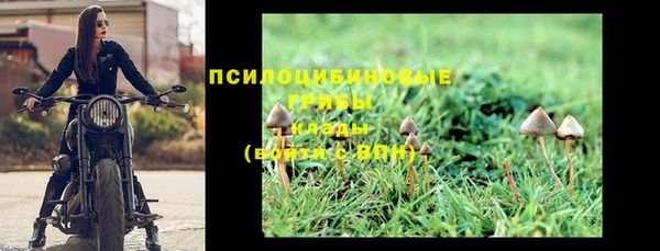 шишки Кодинск