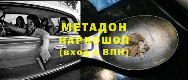 шишки Кодинск