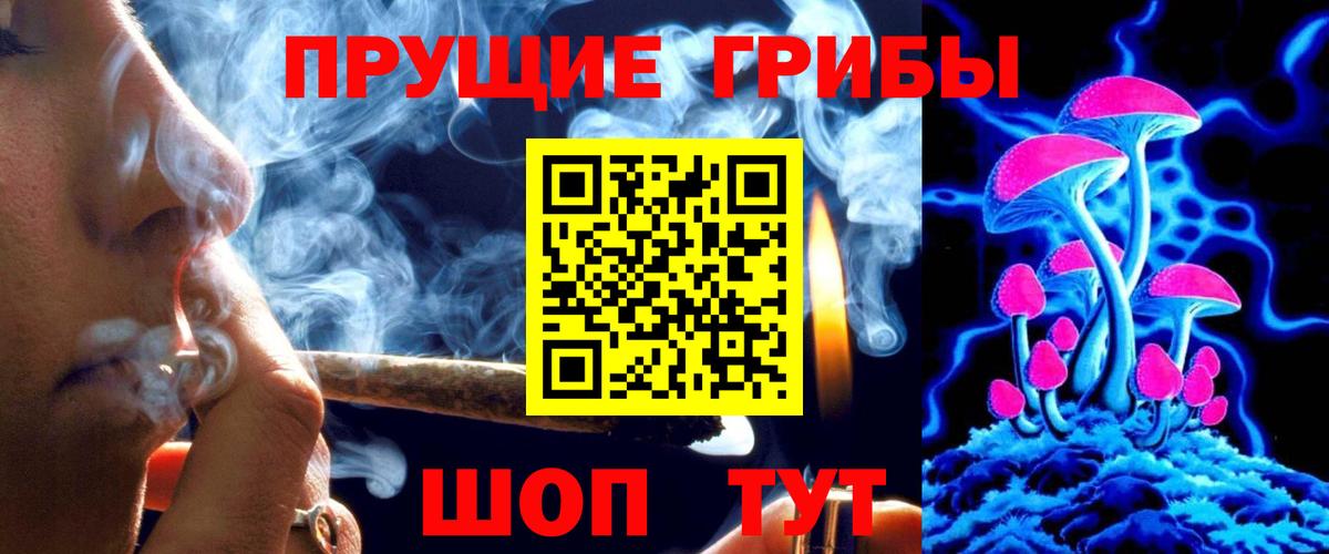 Клинцы  Галлюциногенные грибы Magic Shrooms  Вход с VPN  Псилоцибиновые грибы GOLDEN TEACHER 
